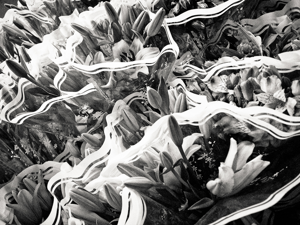 01-_0014655
